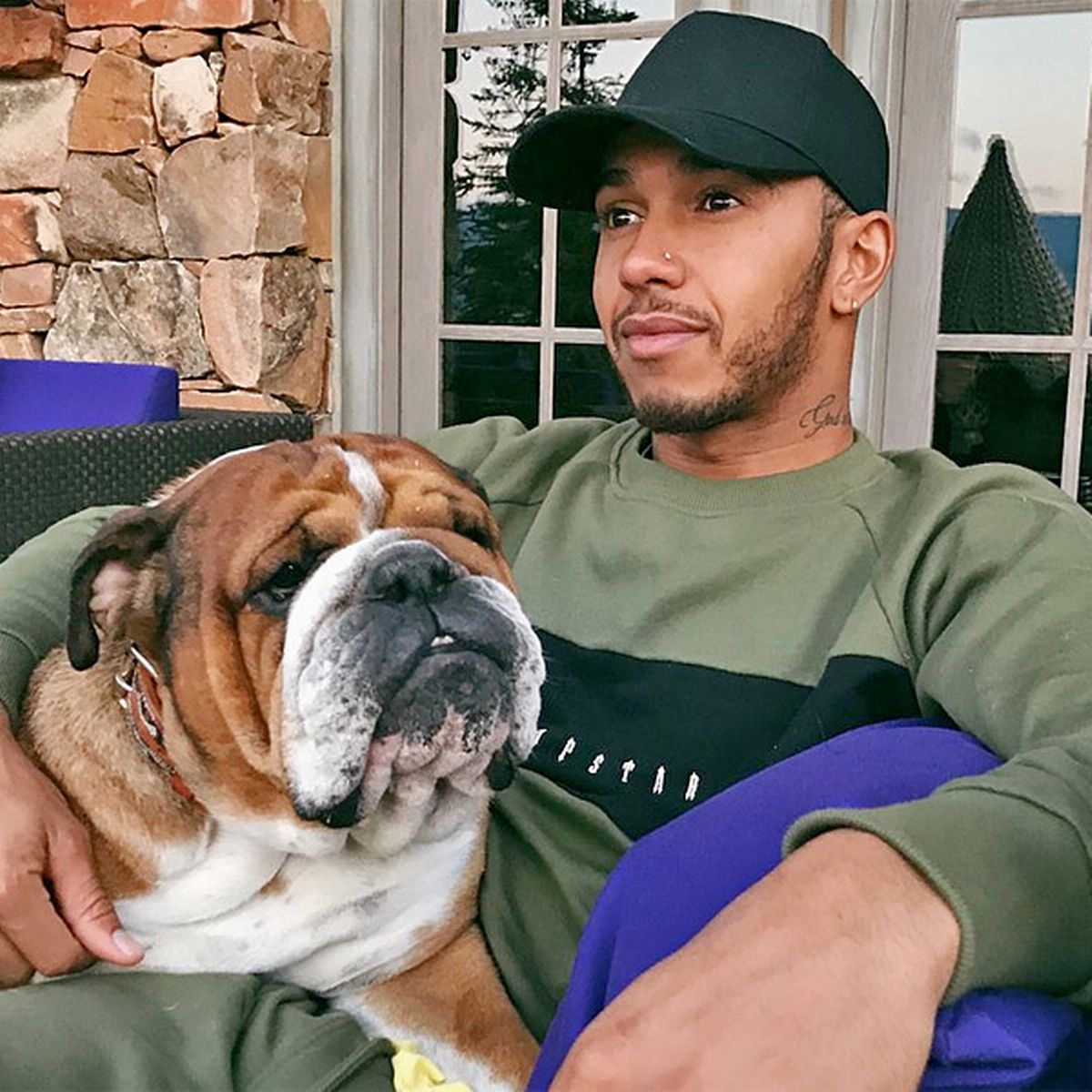 Roscoe, Lewis Hamilton's Dog, Gets Paid $700 a Day, The Formula 1 Champion Claims