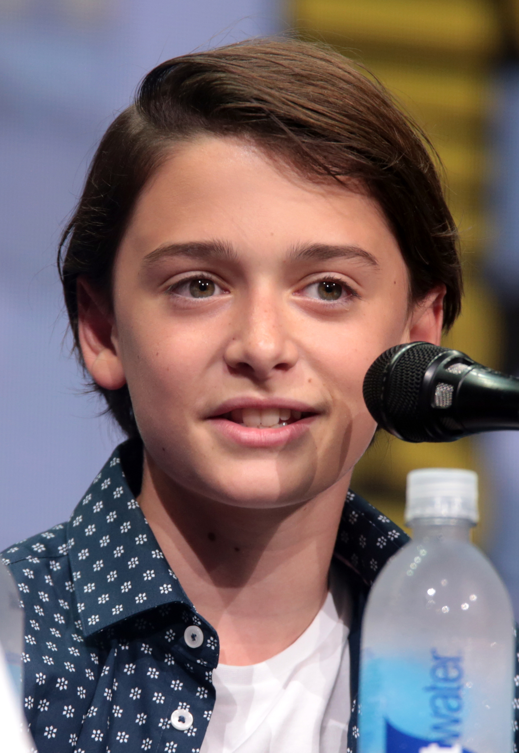 Noah Schnapp Wiki Bio: Who Is He On Tiktok? Learn More About Him