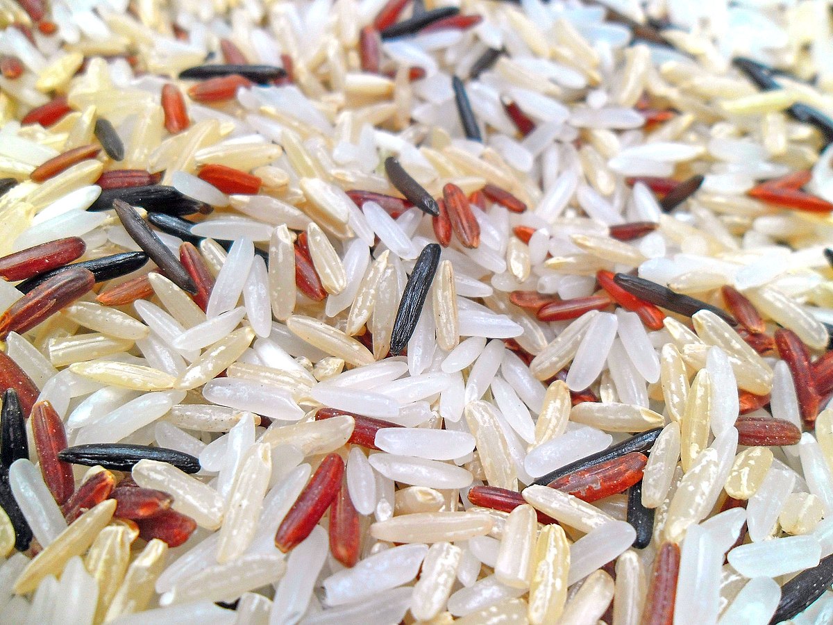 Basmati Rice Vs Brown Rice – Basmati And Brown Rice Nutrition Facts You Should Know- Complete Info!