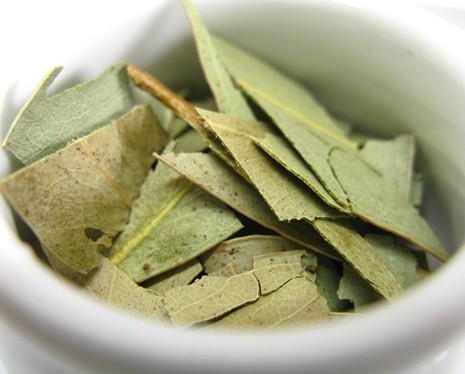 How To Make Eucalyptus Tea From Dry Leaves: Benefits And Side Effects- Things To Know