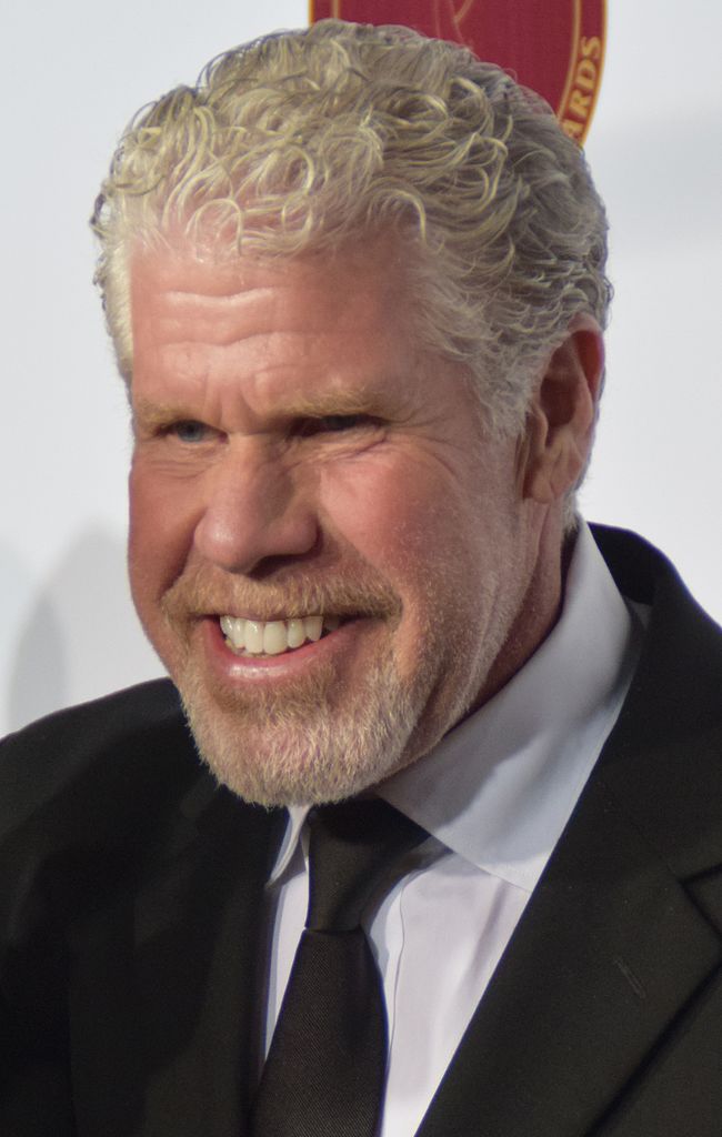 Ron Perlman Cancer Update 2022: Is He Sick? American Actor Ron Perlman Wiki Bio And Career Info