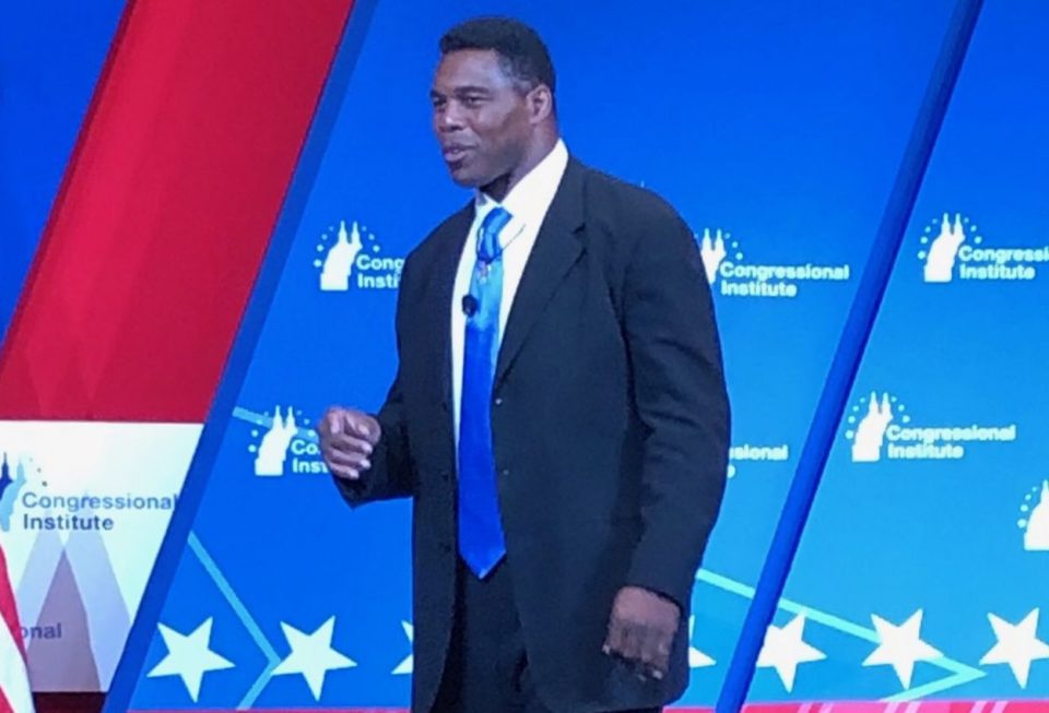 Senate Candidate Herschel Walker: His He Married To Julie Blanchard? Facts About Their Married life