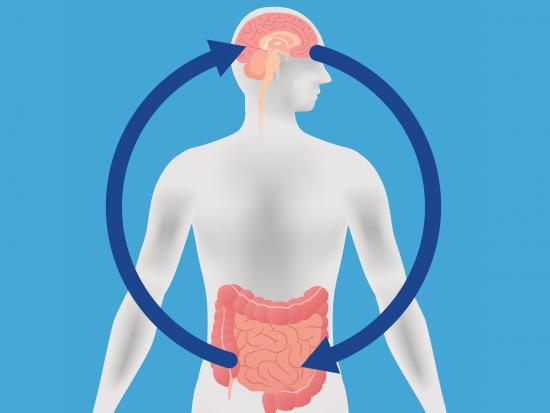 What Evidence Suggests That Parkinson's Disease May Start In The Gut And Spread To The Brain? Here Is What To Know