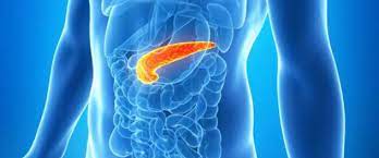 What Are The Signs And Symptoms Of Pancreatic Cancer?