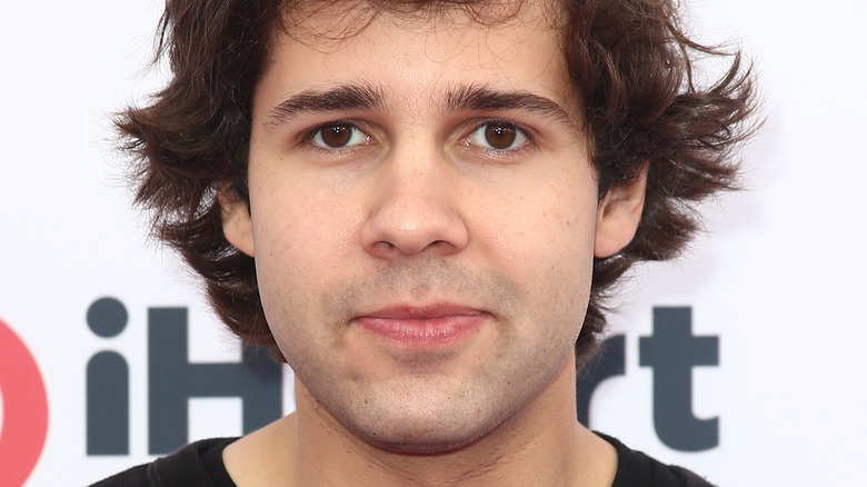 Does Youtuber David Dobrik Have Any Girlfriend?