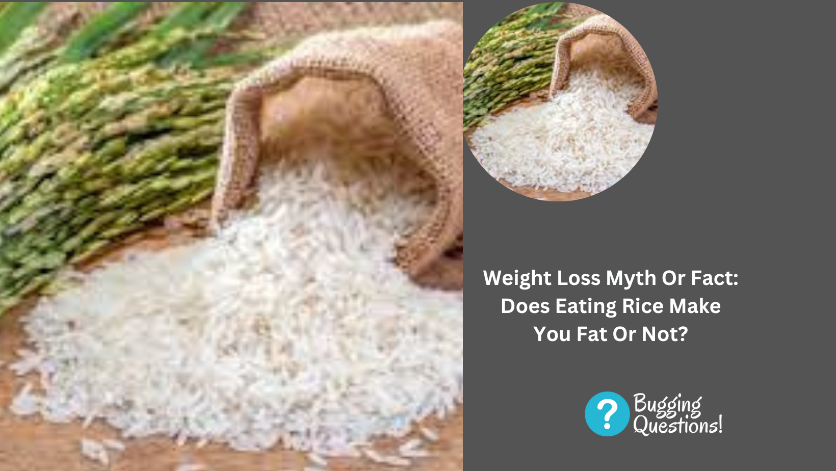 Weight Loss Myth Or Fact: Does Eating Rice Make You Fat Or Not?