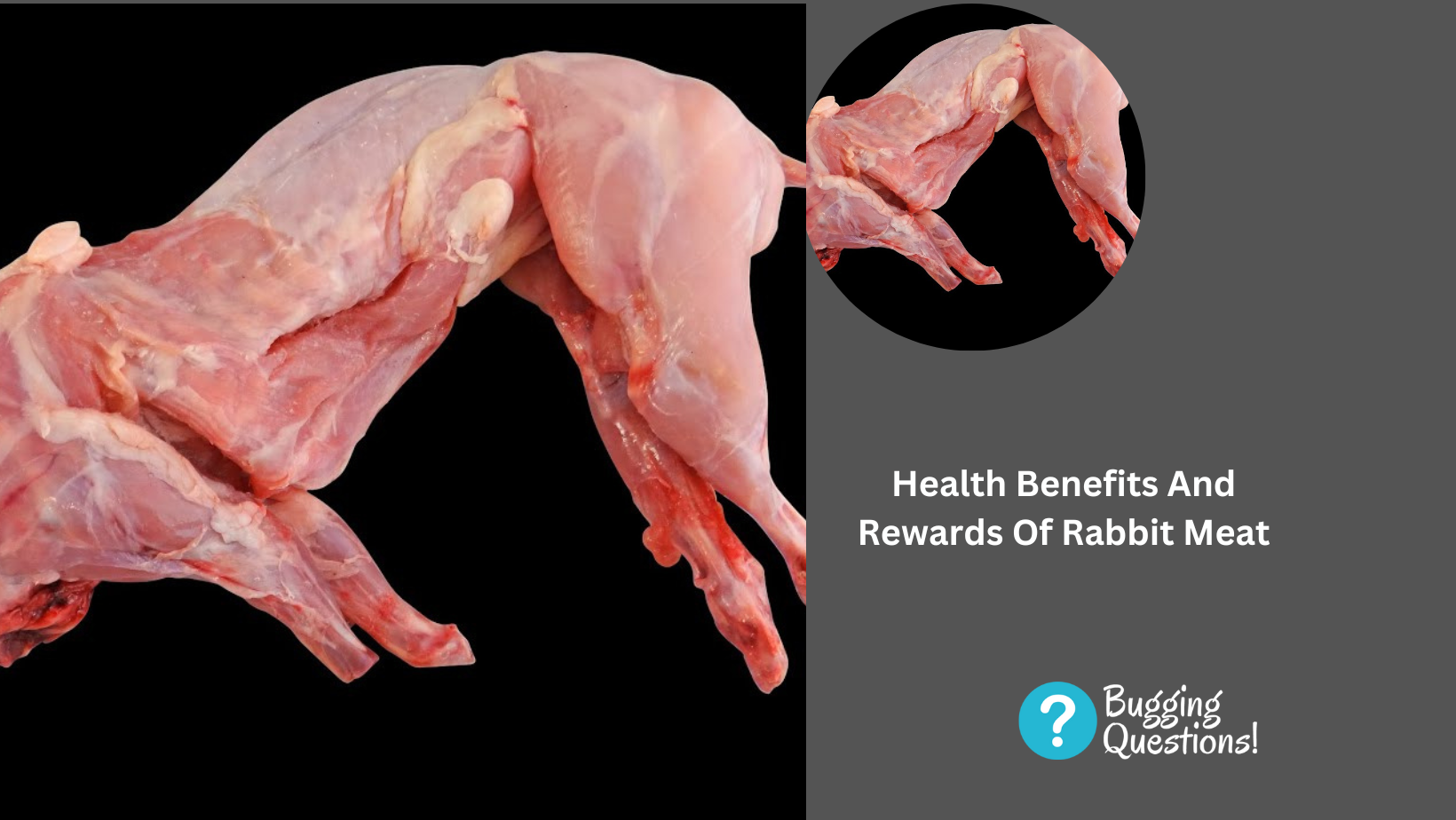 Health Benefits And Rewards Of Rabbit Meat