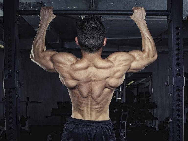 Amazing Benefits Of Having Strong Back Muscles