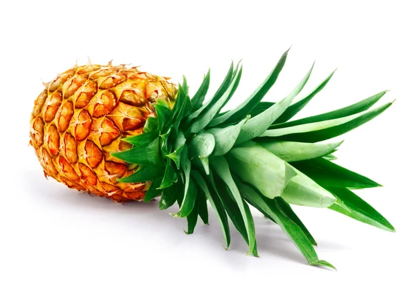 Possible Health Benefits Of Pineapple Leaves