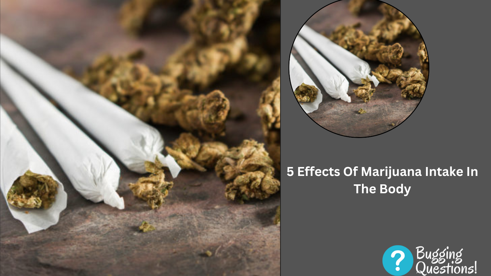 Effects Of Marijuana Intake In The Body