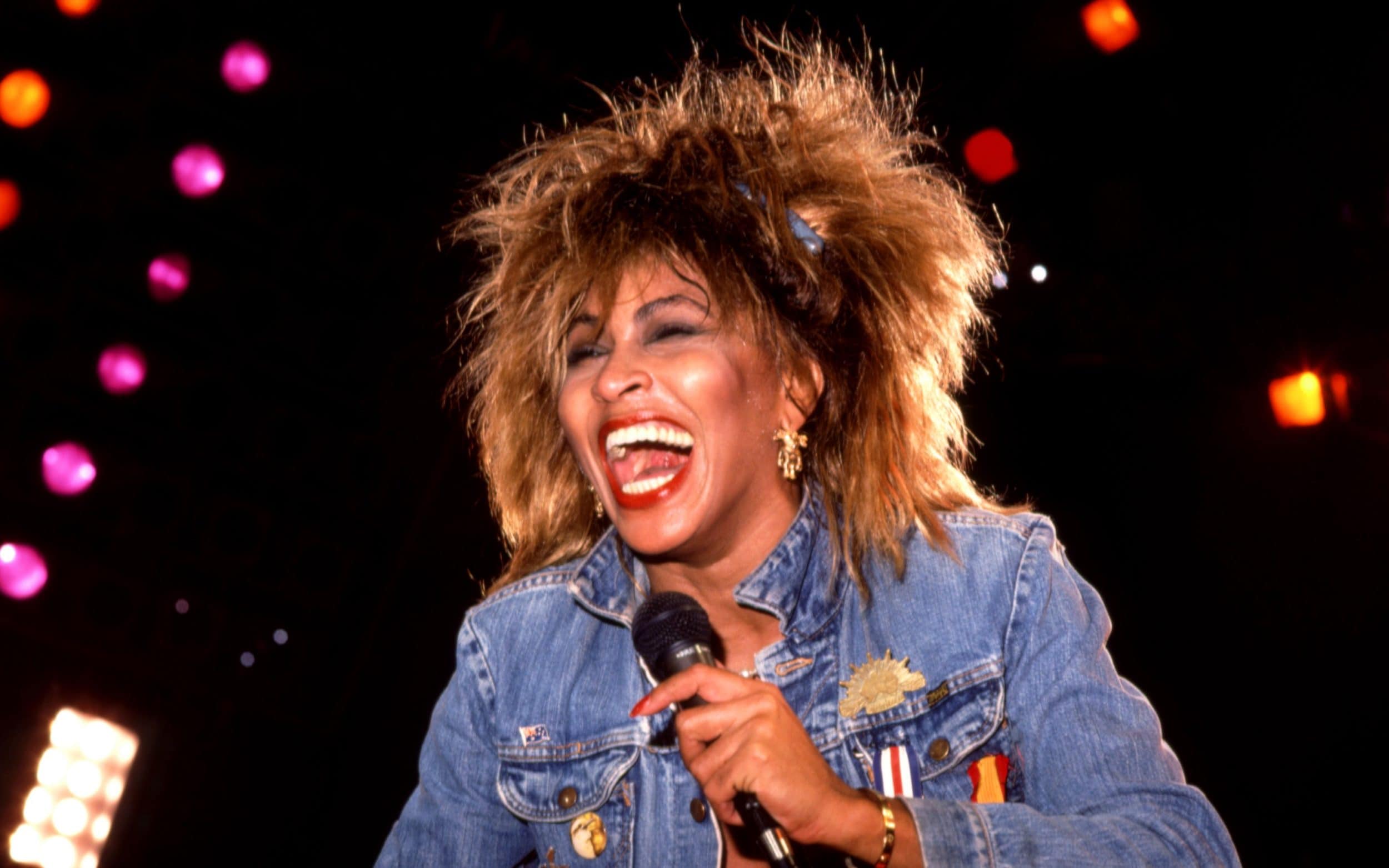 Musician Tina Turner Family And Ethnicity