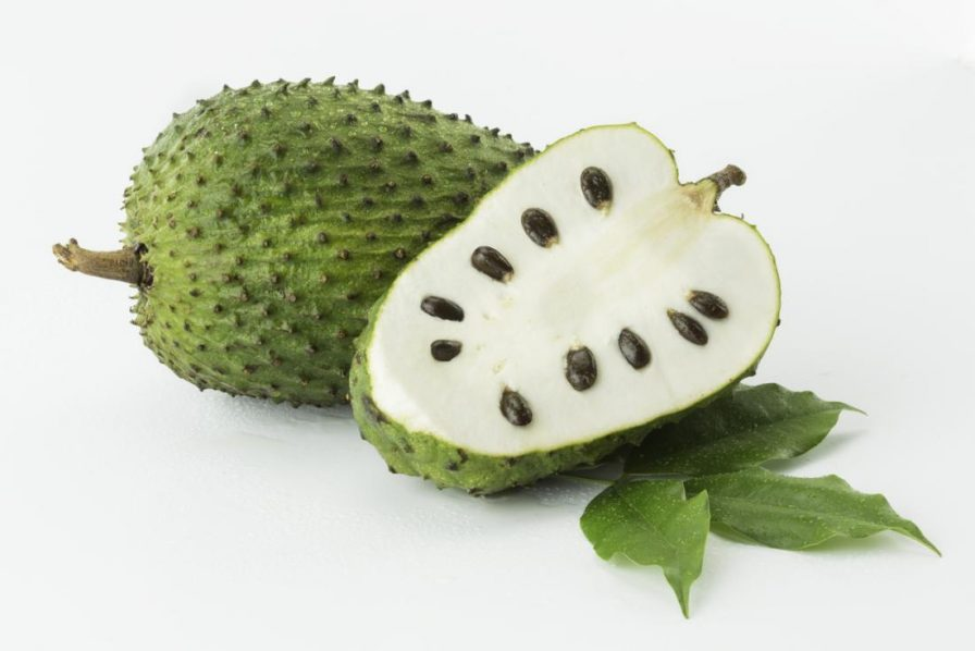 Amazing Health Benefit Of Soursop Leaves