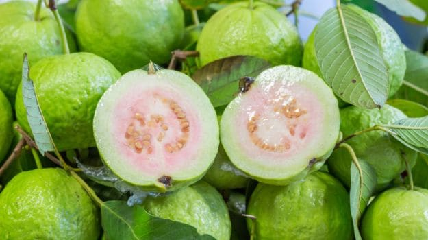 Benefits Of Adding Guava To Your Diet