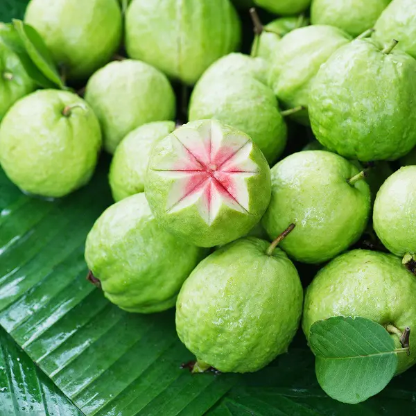 Benefits Of Adding Guava To Your Diet