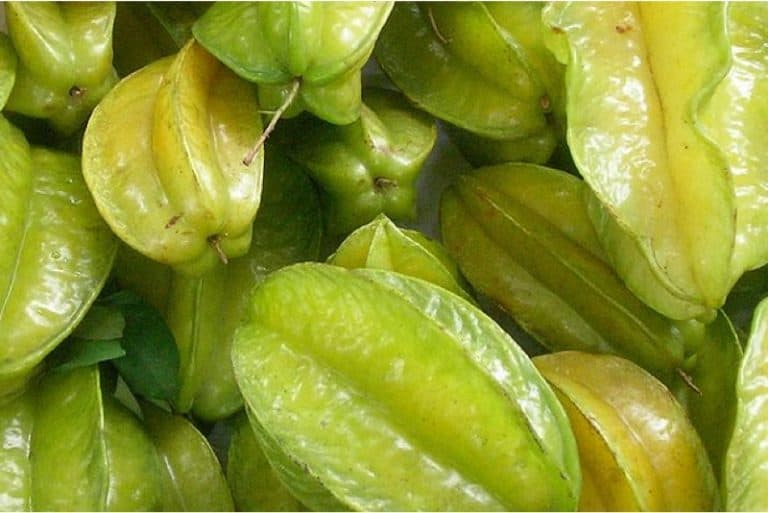 Benefits Of Adding Star Fruit To Your Diet