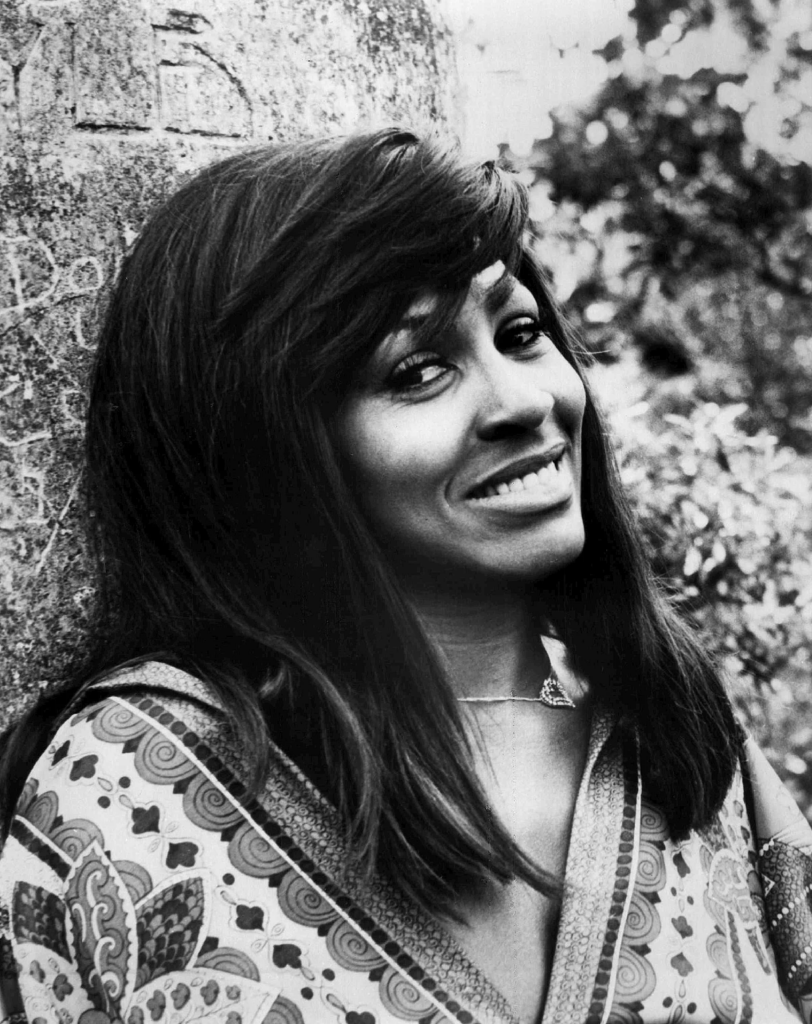 Musician Tina Turner Family And Ethnicity