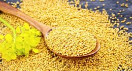 Healthy Benefits Of Mustard
