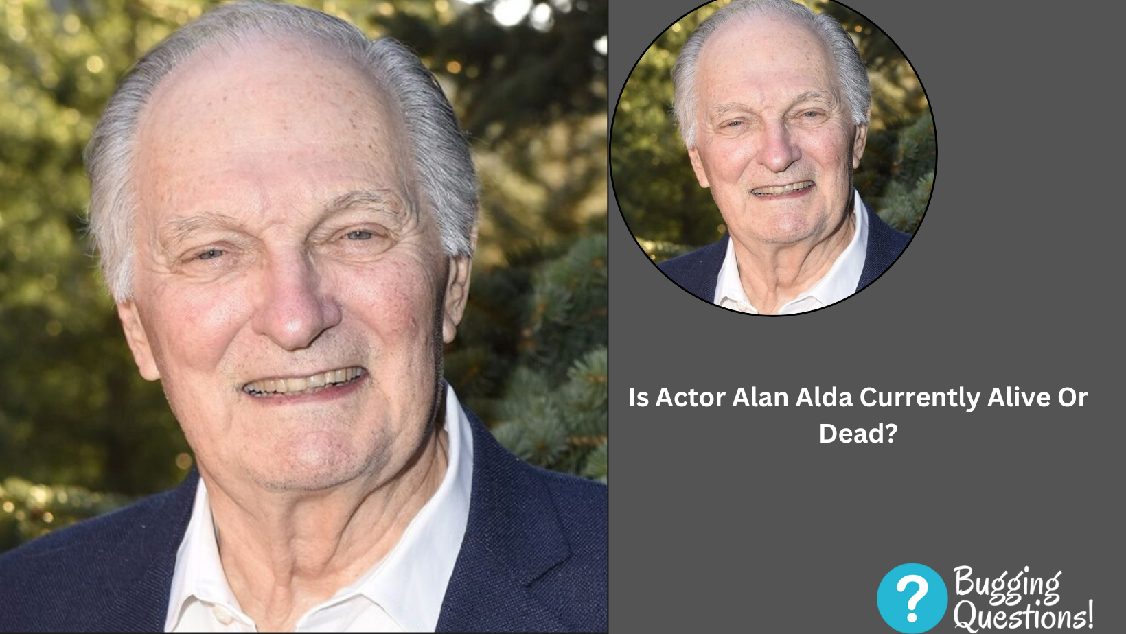 Is Actor Alan Alda Currently Alive Or Dead?