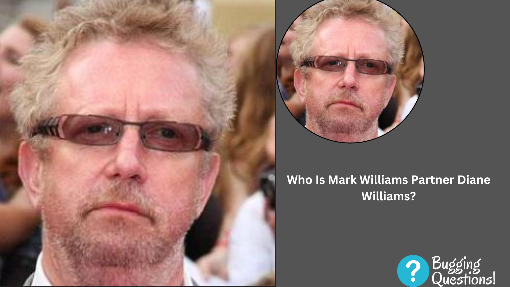 Who Is Mark Williams Partner Diane Williams?