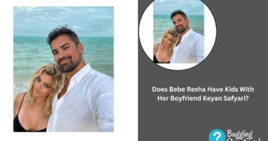 Does Bebe Rexha Have Kids With Her Boyfriend Keyan Safyari?