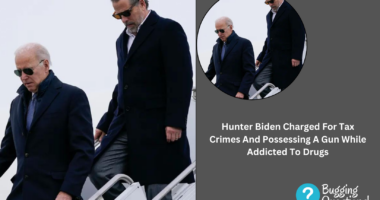 Hunter Biden Crime Case