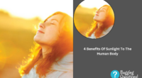 Benefits Of Sunlight To The Human Body