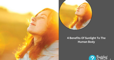 Benefits Of Sunlight To The Human Body