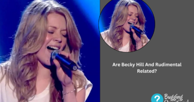 Are Becky Hill And Rudimental Related?