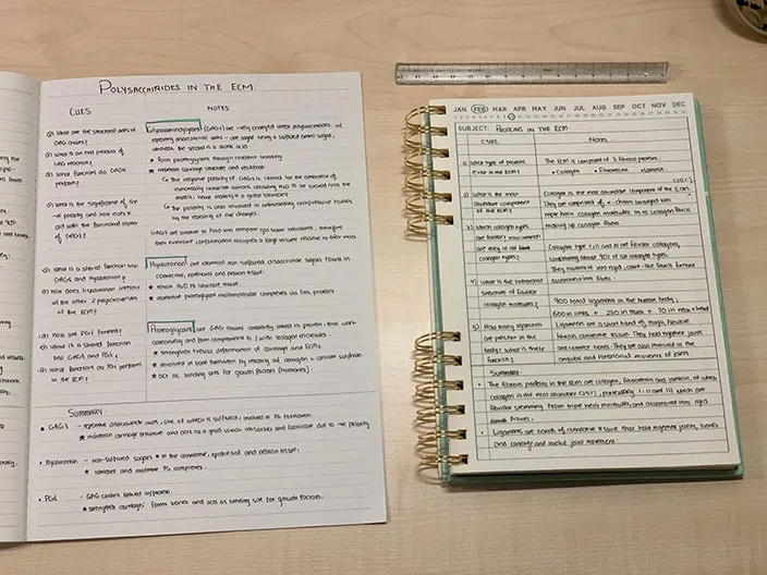 Effective Note Taking Techniques For Science Subjects