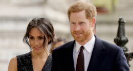 Spotify Executive And Harry Case Details