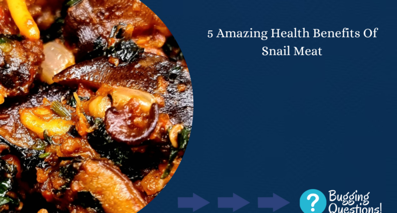 Amazing Health Benefits Of Snail Meat