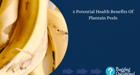 5 Potential Health Benefits Of Plantain Peels – Bugging Questions