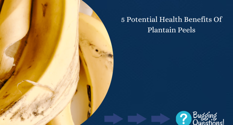 Potential Health Benefits Of Plantain Peels