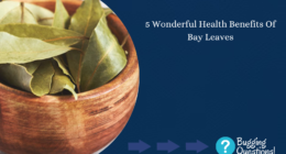 Wonderful Health Benefits Of Bay Leaves